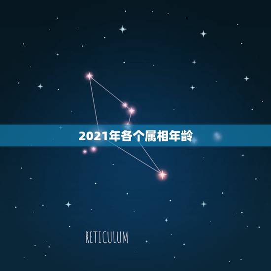 2021年各个属相年龄,2021年十二生肖年龄对照表 2021年各个属相年龄,2021年十二生肖年龄对照表