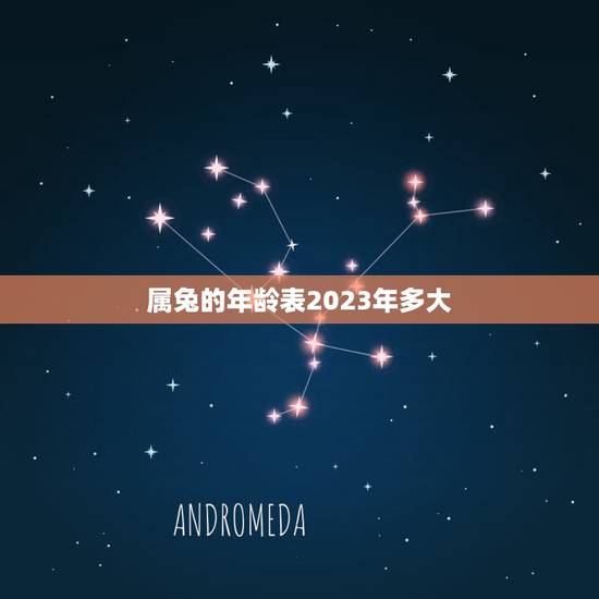 属兔的年龄表2023年多大，属虎年龄表2022