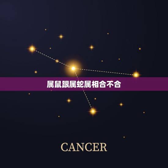 属鼠跟属蛇属相合不合,属鼠和属蛇的合不合财? 属鼠跟属蛇属相合不合,属鼠和属蛇的合不合财?