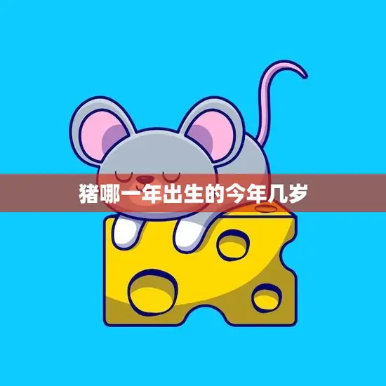 猪哪一年出生的今年几岁(揭秘猪年生肖的年龄计算方法)