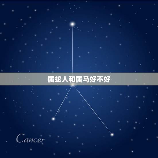 属蛇人和属马好不好，属蛇和属马的合不合财