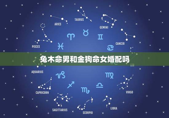 兔木命男和金狗命女婚配吗，木命男和金命女婚姻配吗