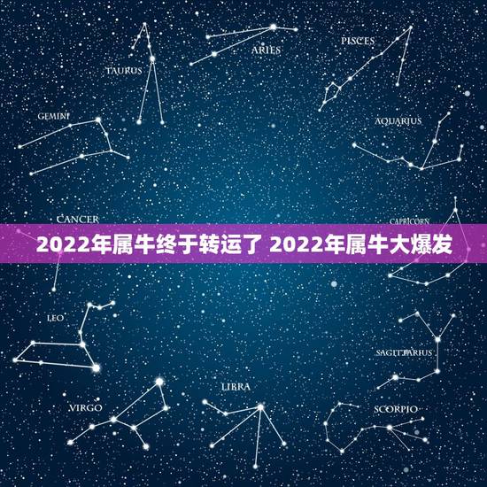 2022年属牛终于转运了 2022年属牛大爆发 2022年属牛终于转运了 2022年属牛大爆发
