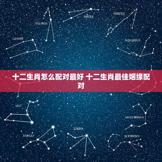十二生肖怎么配对最好 十二生肖最佳姻缘配对 十二生肖怎么配对最好 十二生肖最佳姻缘配对