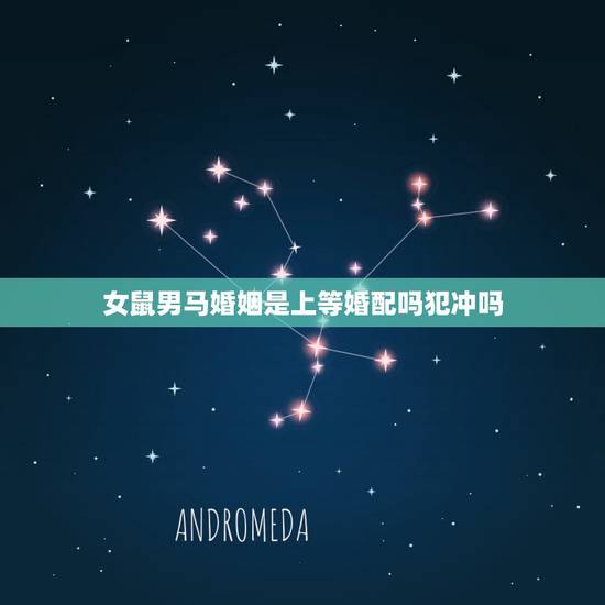 女鼠男马婚姻是上等婚配吗犯冲吗,属马的男生和属鼠的女生婚配好吗? 女鼠男马婚姻是上等婚配吗犯冲吗,属马的男生和属鼠的女生婚配好吗?