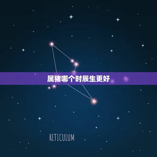 属猪哪个时辰生更好,哪些时辰出生属猪上等命 属猪哪个时辰生更好,哪些时辰出生属猪上等命
