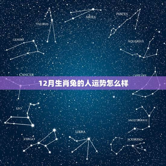 12月生肖兔的人运势怎么样,属兔的水瓶座今年运程怎么样?适合什么工作 12月生肖兔的人运势怎么样,属兔的水瓶座今年运程怎么样?适合什么工作