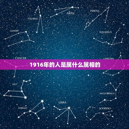 1916年的人是属什么属相的，生肖属相表年份