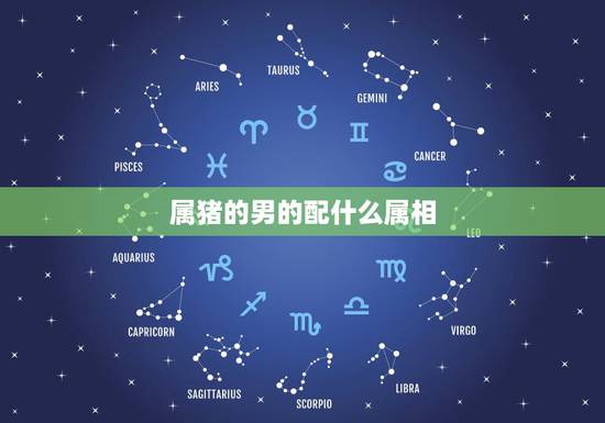 属猪的男的配什么属相，男属猪女属牛相配吗