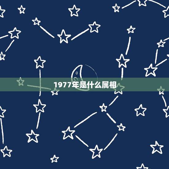 1977年是什么属相，1977年属什么生肖？