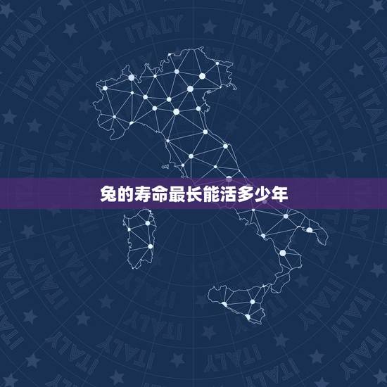 兔的寿命最长能活多少年,兔子临死前征兆 兔的寿命最长能活多少年,兔子临死前征兆
