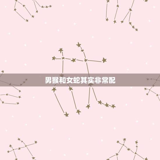男猴和女蛇其实非常配,为什么猴遇蛇有福气 男猴和女蛇其实非常配,为什么猴遇蛇有福气