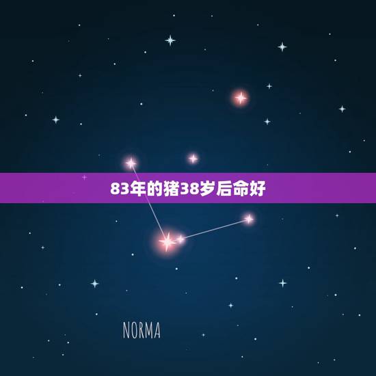 83年的猪38岁后命好，83年的猪38岁后命好