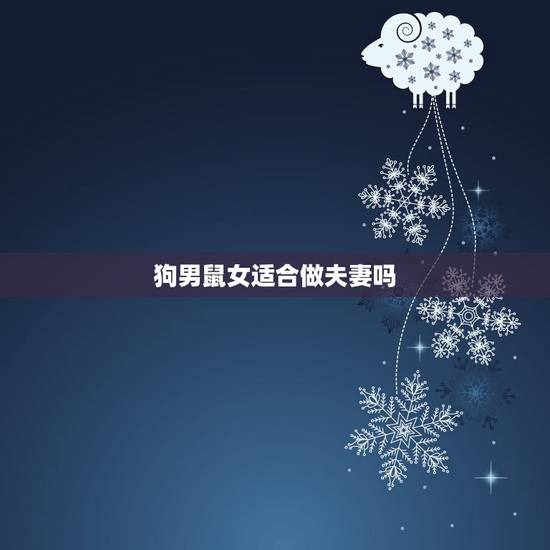 狗男鼠女适合做夫妻吗,男狗女鼠财运好不好 狗男鼠女适合做夫妻吗,男狗女鼠财运好不好