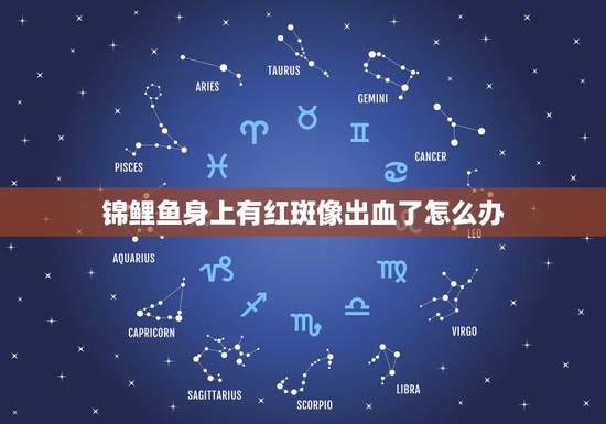 锦鲤鱼身上有红斑像出血了怎么办，锦鲤金鱼身上出现像血一样的红斑是怎么回