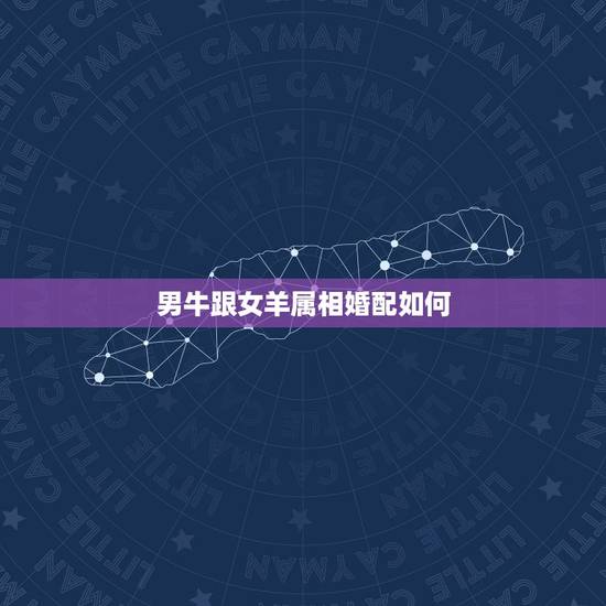 男牛跟女羊属相婚配如何,男牛女羊的婚姻怎么改变命运 男牛跟女羊属相婚配如何,男牛女羊的婚姻怎么改变命运
