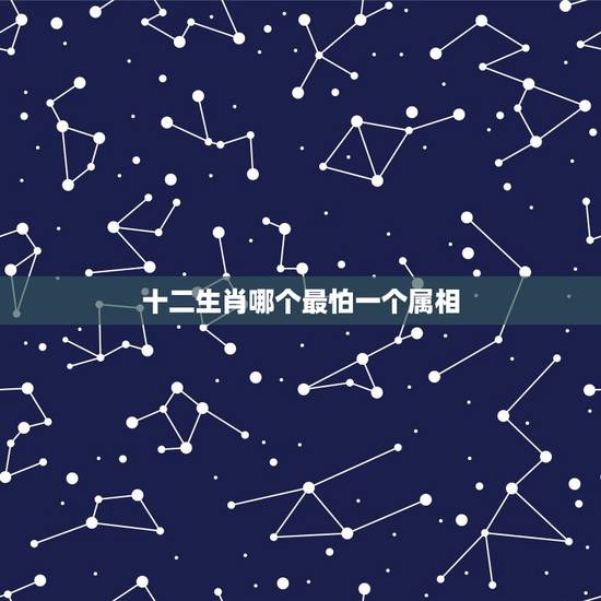 十二生肖哪个最怕一个属相,12生肖中,最让人讨厌的生肖,是哪3个? 十二生肖哪个最怕一个属相,12生肖中,最让人讨厌的生肖,是哪3个?