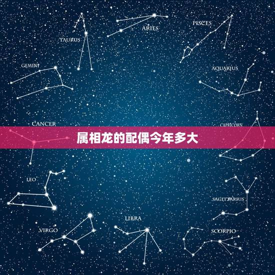 属相龙的配偶今年多大,属龙人的最佳配偶是十二属相的哪个生肖属相 属相龙的配偶今年多大,属龙人的最佳配偶是十二属相的哪个生肖属相