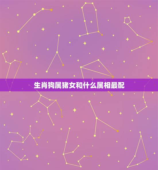生肖狗属猪女和什么属相最配，属猪女与什么属相最相配
