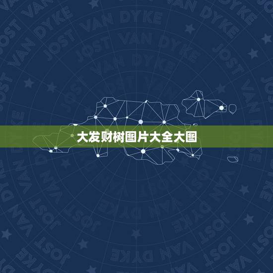 大发财树图片大全大图,发财树是独杆好.还是大辫子好 大发财树图片大全大图,发财树是独杆好.还是大辫子好