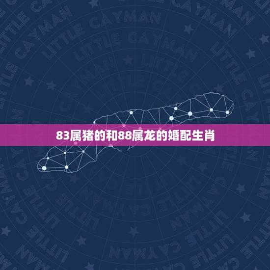 83属猪的和88属龙的婚配生肖，83年属猪女和88年属龙男配吗