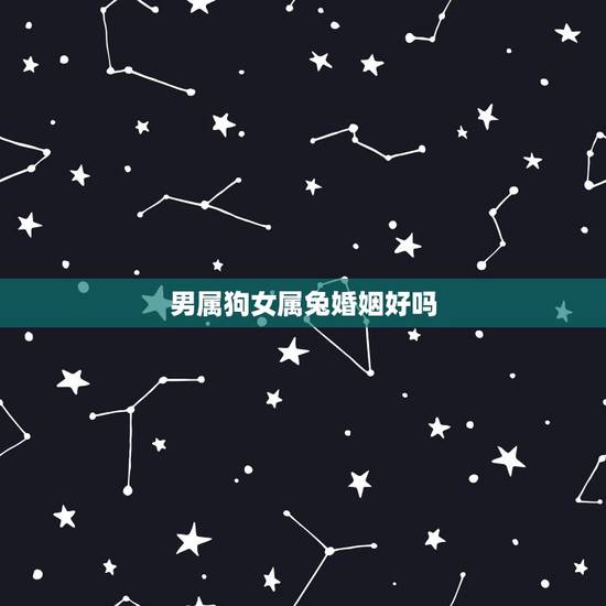 男属狗女属兔婚姻好吗,属兔女和属龙男的婚配好不好 男属狗女属兔婚姻好吗,属兔女和属龙男的婚配好不好