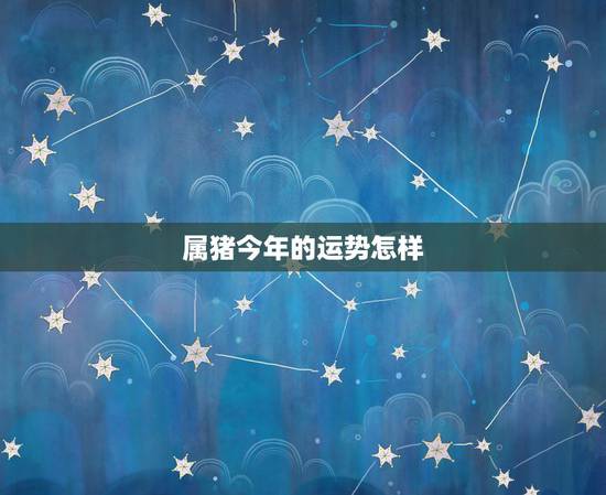 属猪今年的运势怎样，今年属猪的运势昨样