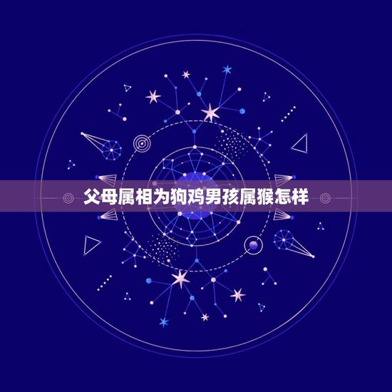 父母属相为狗鸡男孩属猴怎样，男属鸡女属猴女儿属狗住几楼好