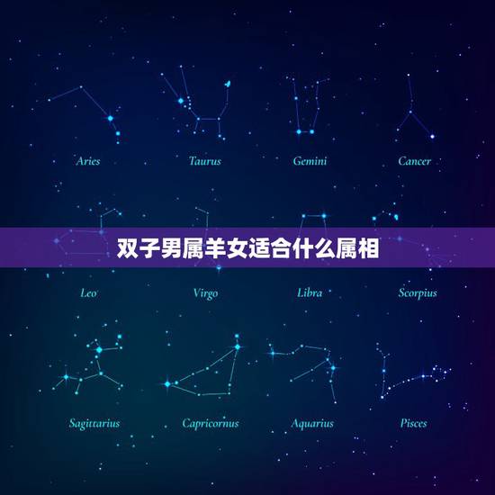 双子男属羊女适合什么属相,属羊双子座男生性格和什么女生最配。速度求解 双子男属羊女适合什么属相,属羊双子座男生性格和什么女生最配。速度求解