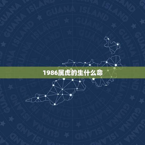 1986属虎的生什么命，1986年的属虎的什么命