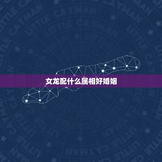 女龙配什么属相好婚姻