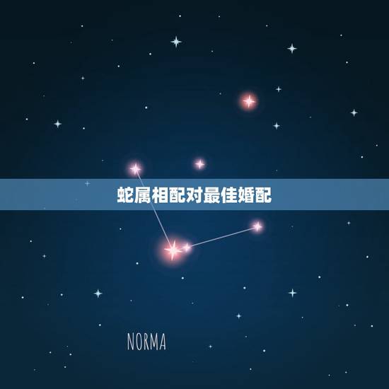 蛇属相配对最佳婚配,属相蛇跟什么属相相配 蛇属相配对最佳婚配,属相蛇跟什么属相相配