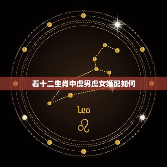 看十二生肖中虎男虎女婚配如何,属虎的女人和什么属相最配 属虎的女人命好 看十二生肖中虎男虎女婚配如何,属虎的女人和什么属相最配 属虎的女人命好
