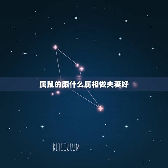 属鼠的跟什么属相做夫妻好，属鼠的最佳配偶 属鼠的命运性格 属鼠的和什么