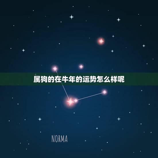 属狗的在牛年的运势怎么样呢,属狗的人牛年的运气会怎么样呢! 属狗的在牛年的运势怎么样呢,属狗的人牛年的运气会怎么样呢!
