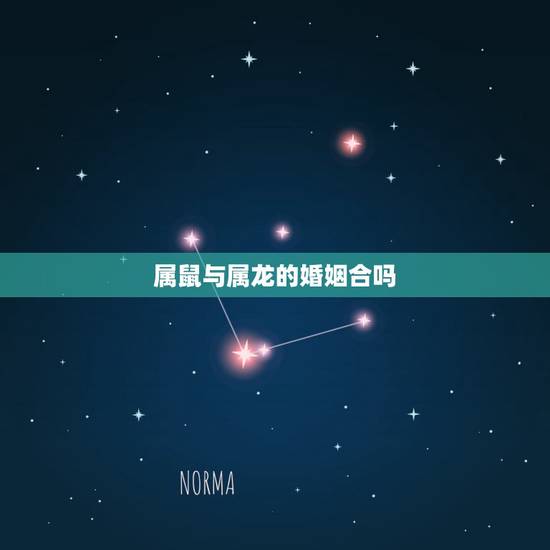 属鼠与属龙的婚姻合吗,男属龙女属鼠婚姻状况 属鼠与属龙的婚姻合吗,男属龙女属鼠婚姻状况