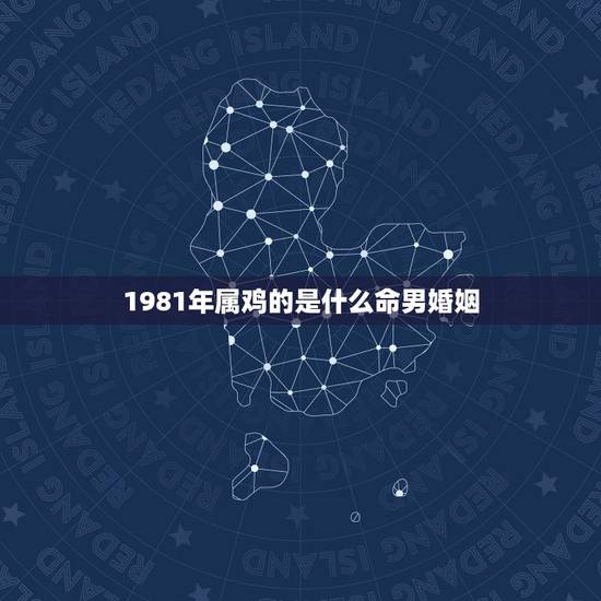1981年属鸡的是什么命男婚姻，1981年属鸡男人的 整体性格，婚姻