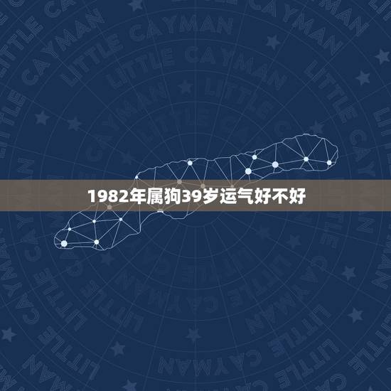 1982年属狗39岁运气好不好，1982年属狗39岁男娶媳妇到呢？