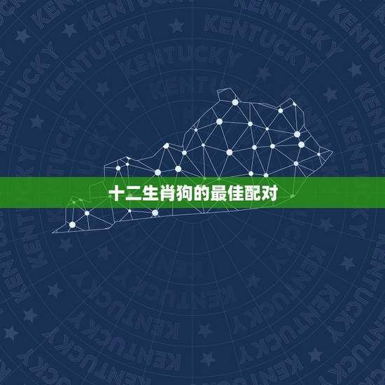 十二生肖狗的最佳配对,十二生肖最佳配对表格 十二生肖狗的最佳配对,十二生肖最佳配对表格