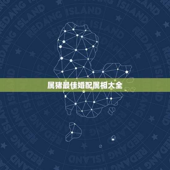 属猪最佳婚配属相大全,生肖猪最佳配对属相 属猪最佳婚配属相大全,生肖猪最佳配对属相