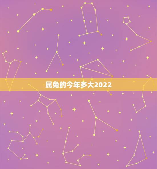 属兔的今年多大2022，2022年属什么生肖几岁
