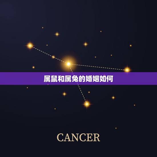 属鼠和属兔的婚姻如何,属鼠男生和属兔女生婚姻配吗 属鼠和属兔的婚姻如何,属鼠男生和属兔女生婚姻配吗