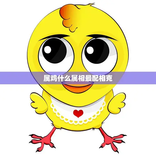 属鸡什么属相最配相克(如何避免相克找到最佳配对)