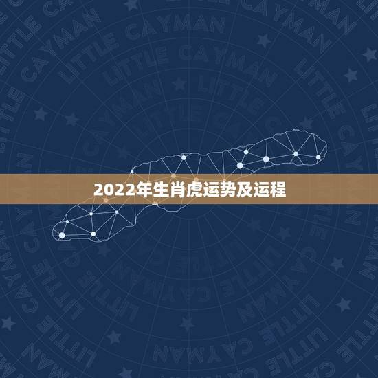 2022年生肖虎运势及运程，2022年生肖虎运势详解
