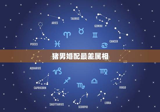 猪男婚配最差属相，生肖猪最佳配对属相