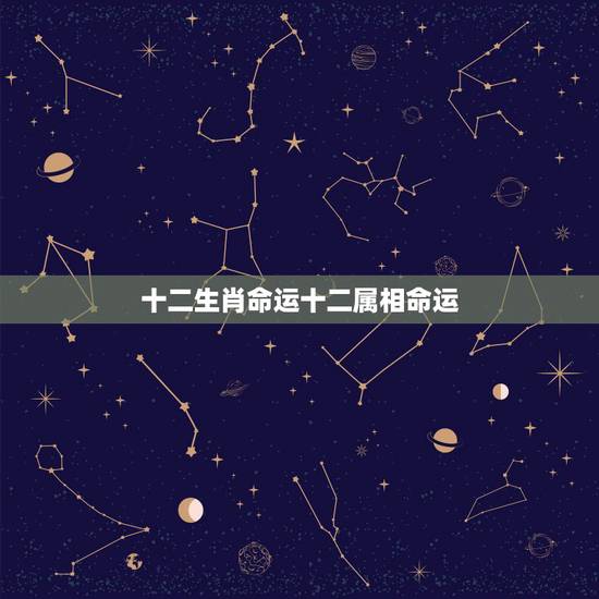 十二生肖命运十二属相命运，算一下十二生肖的命运
