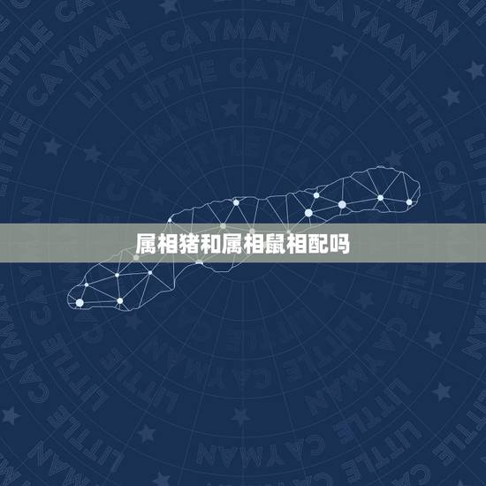 属相猪和属相鼠相配吗,属鼠女的和属猪相配吗 属相猪和属相鼠相配吗,属鼠女的和属猪相配吗