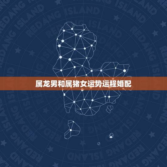 属龙男和属猪女运势运程婚配，男88属龙男跟95属猪女配吗