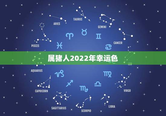 属猪人2022年幸运色,2022年属狗的幸运色 属猪人2022年幸运色,2022年属狗的幸运色