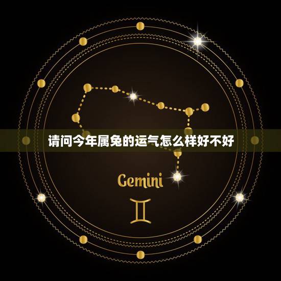 请问今年属兔的运气怎么样好不好，请问今年属兔的运气好吗